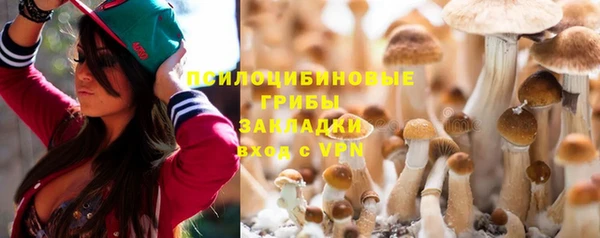 соль курить ск Алексеевка
