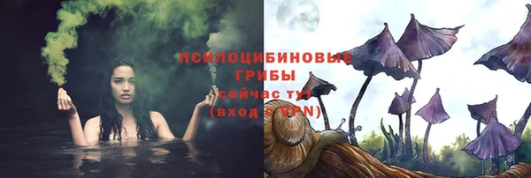 ALPHA PVP Аркадак