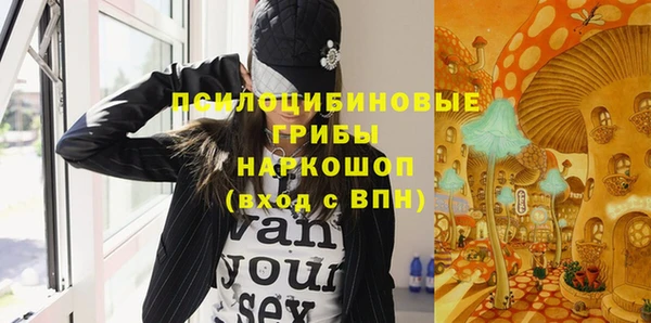 соль ск Алексин